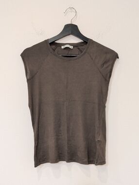 Zara Semi Sheer Top